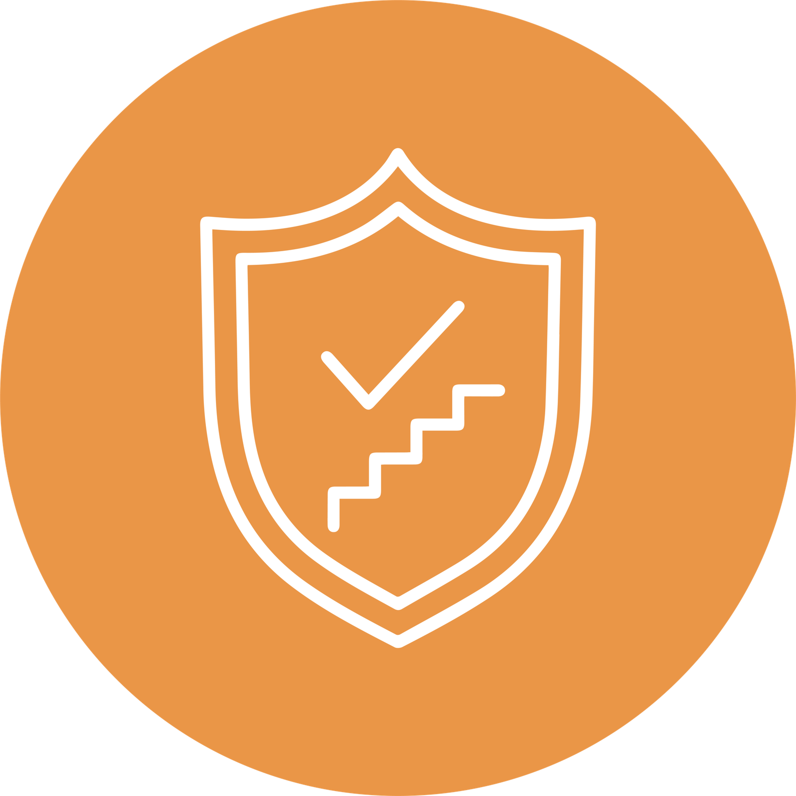 100% Safety