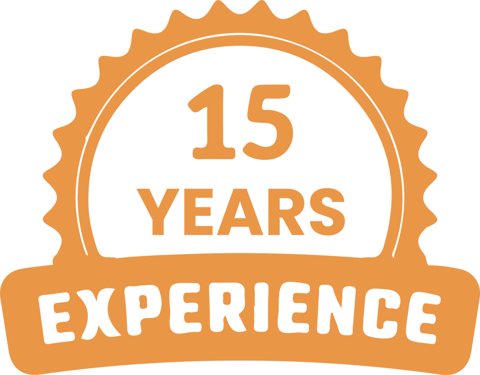 15 year experine