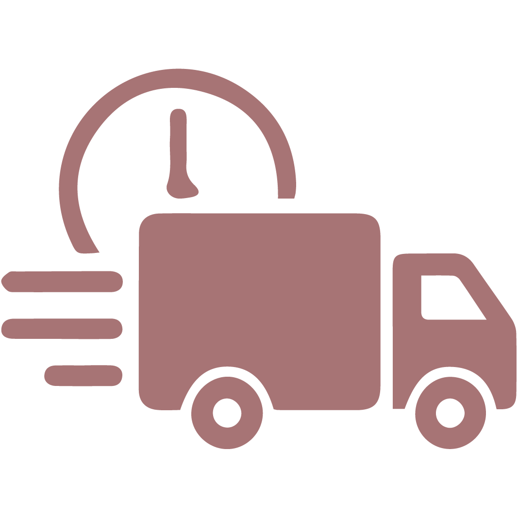 Fast Delivery-01