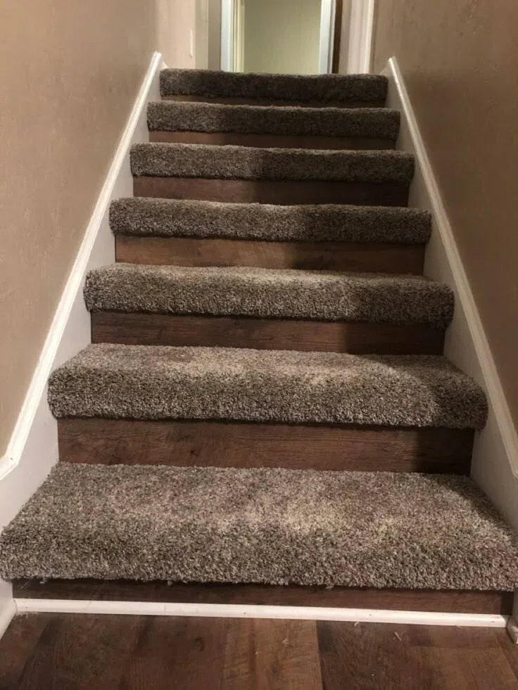 A straight, upward-looking view of an indoor staircase featuring thick, textured beige carpet on the steps paired with dark wood-look vertical risers.