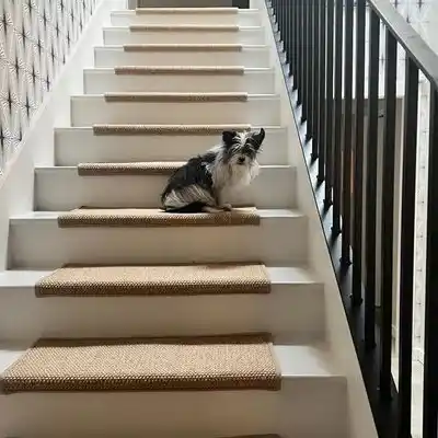 Commerical stair sisal Carpet